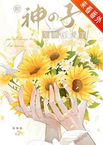 《幸村先生的無效婚姻》