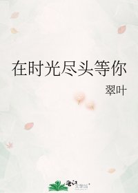 《在時光盡頭等你》